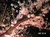 s_PICT0005_thumb.png